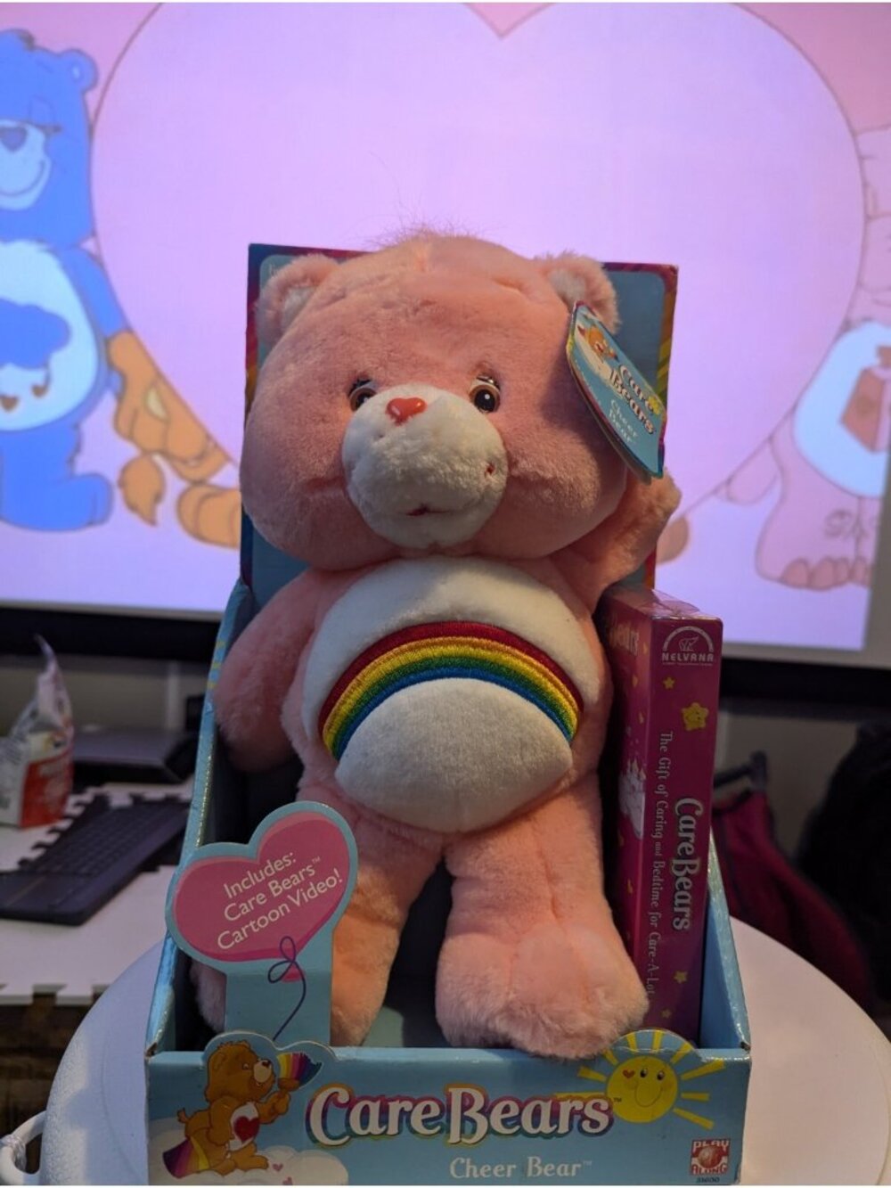 Care Bears CHEER BEAR Plush Rainbow Pink With Sealed VHS Play Along 2002 NEW NOS